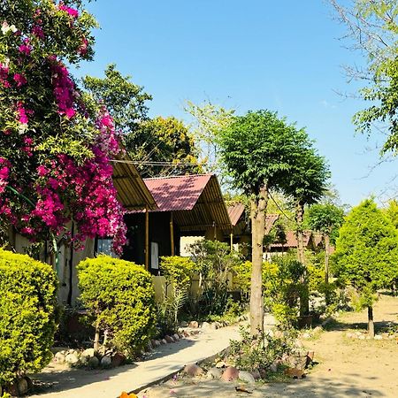 Camp High 5 Jayalgarh Otel Dāngchura Dış mekan fotoğraf