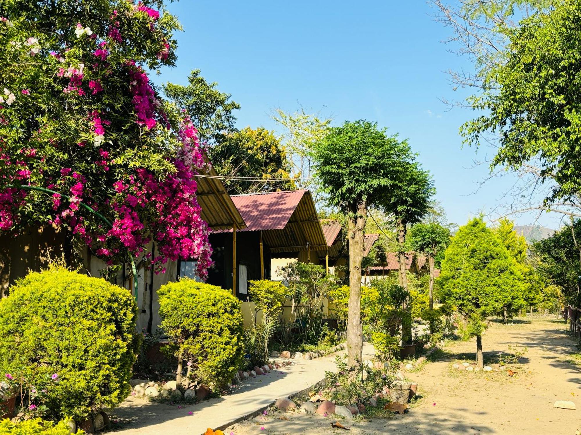 Camp High 5 Jayalgarh Otel Dāngchura Dış mekan fotoğraf