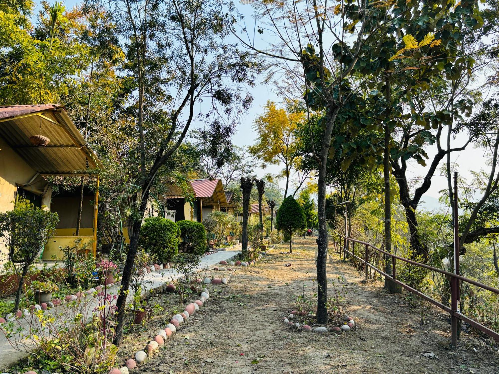 Camp High 5 Jayalgarh Otel Dāngchura Dış mekan fotoğraf
